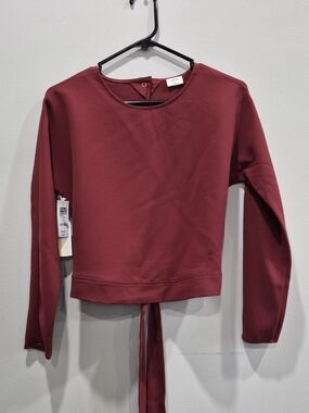 Aritzia Wilfred Laon Blouse Tie Back